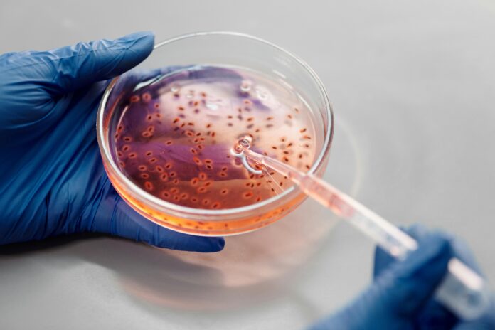 in vitro